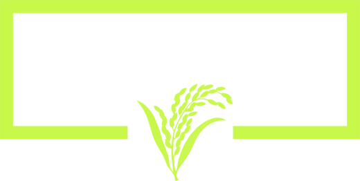Mir Helal