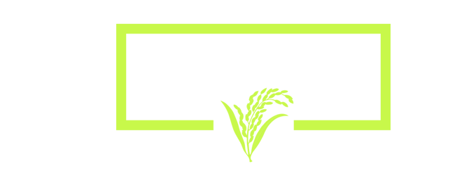 Mir Helal